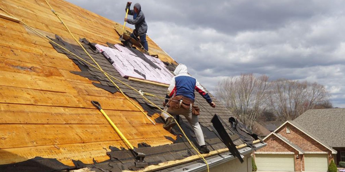 Roofer - Workman Trading Co.