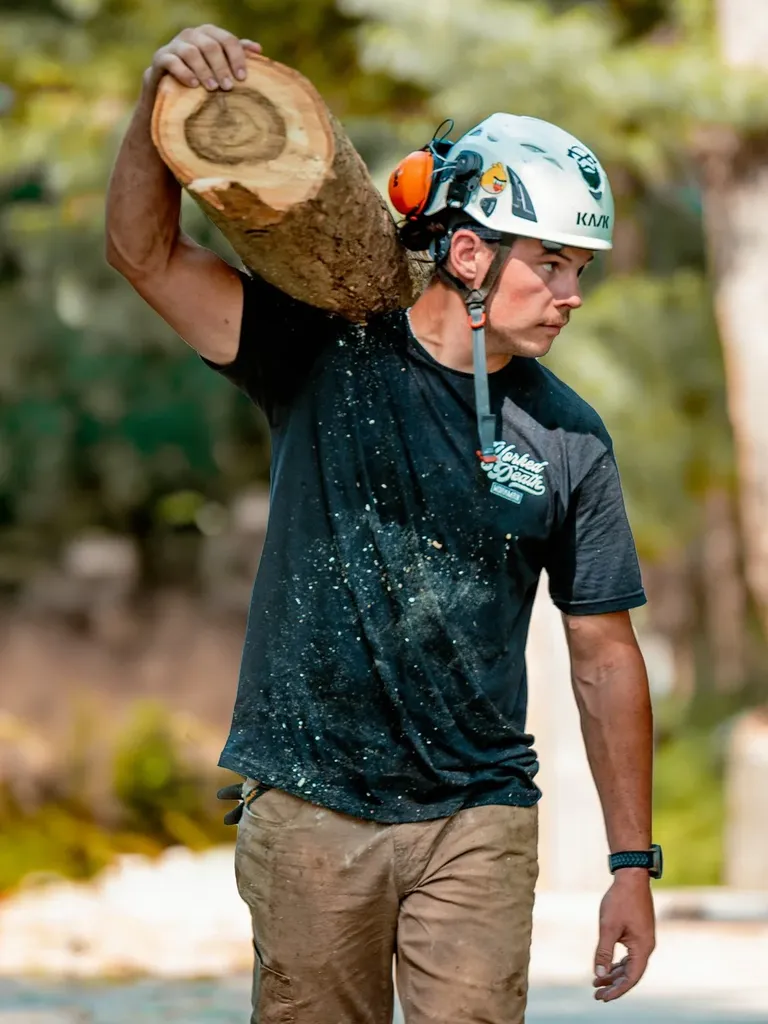 log